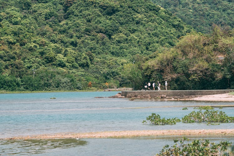 People Standing On Sea Shore Among Trees