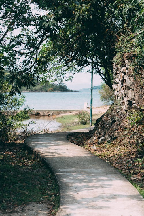 A path leading to the beach with a tree in the background