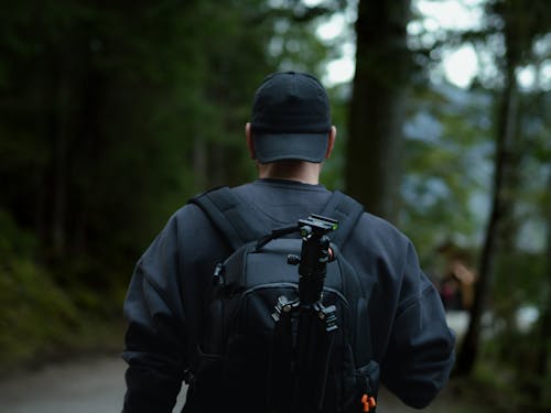 Foto profissional grátis de andando, aventura, floresta