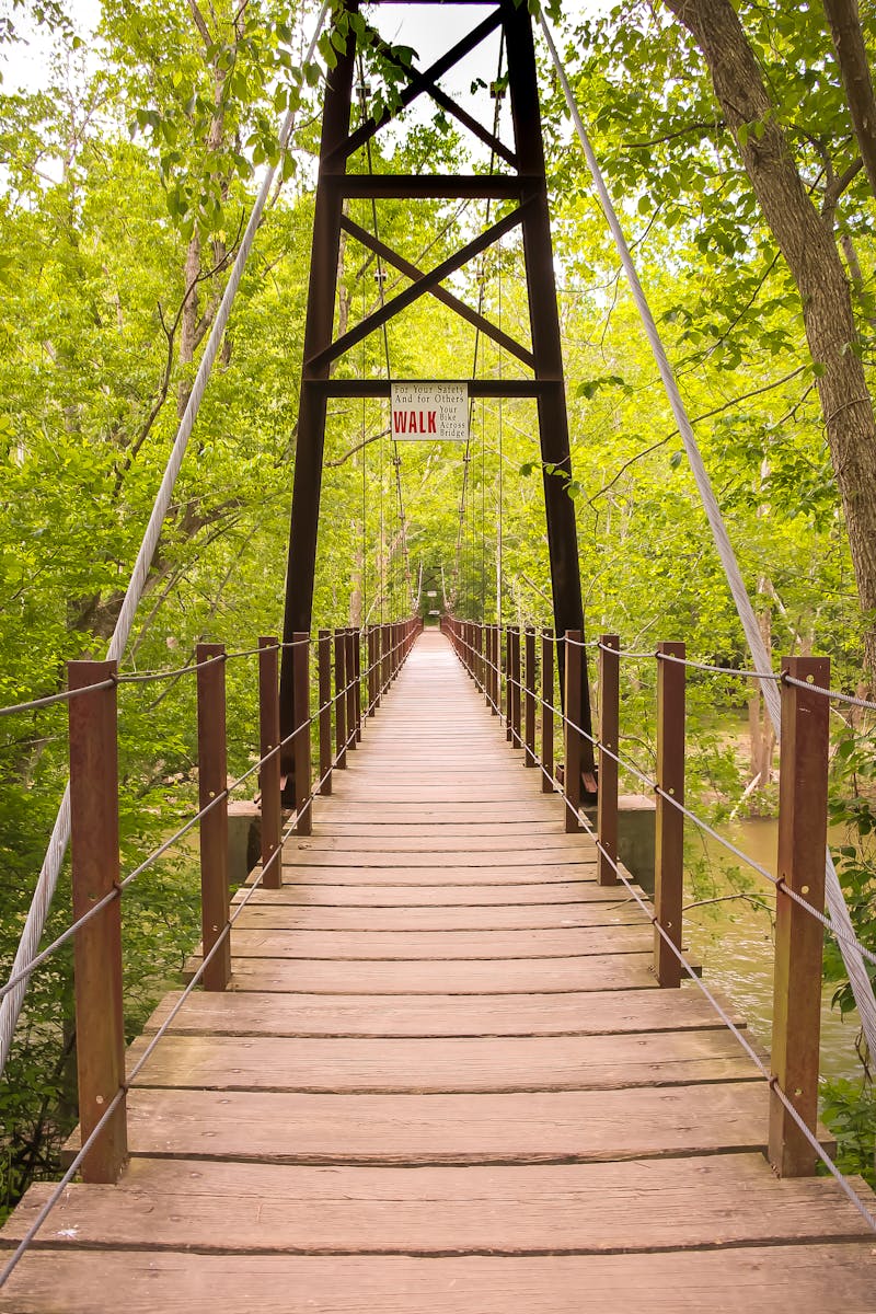 Brown Wooden Foot Bridge Surrounded by Trees