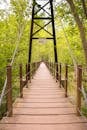 Brown Wooden Foot Bridge Surrounded by Trees