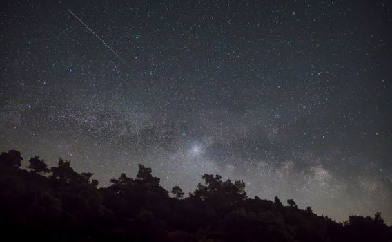 Stars on Clear, Night Sky