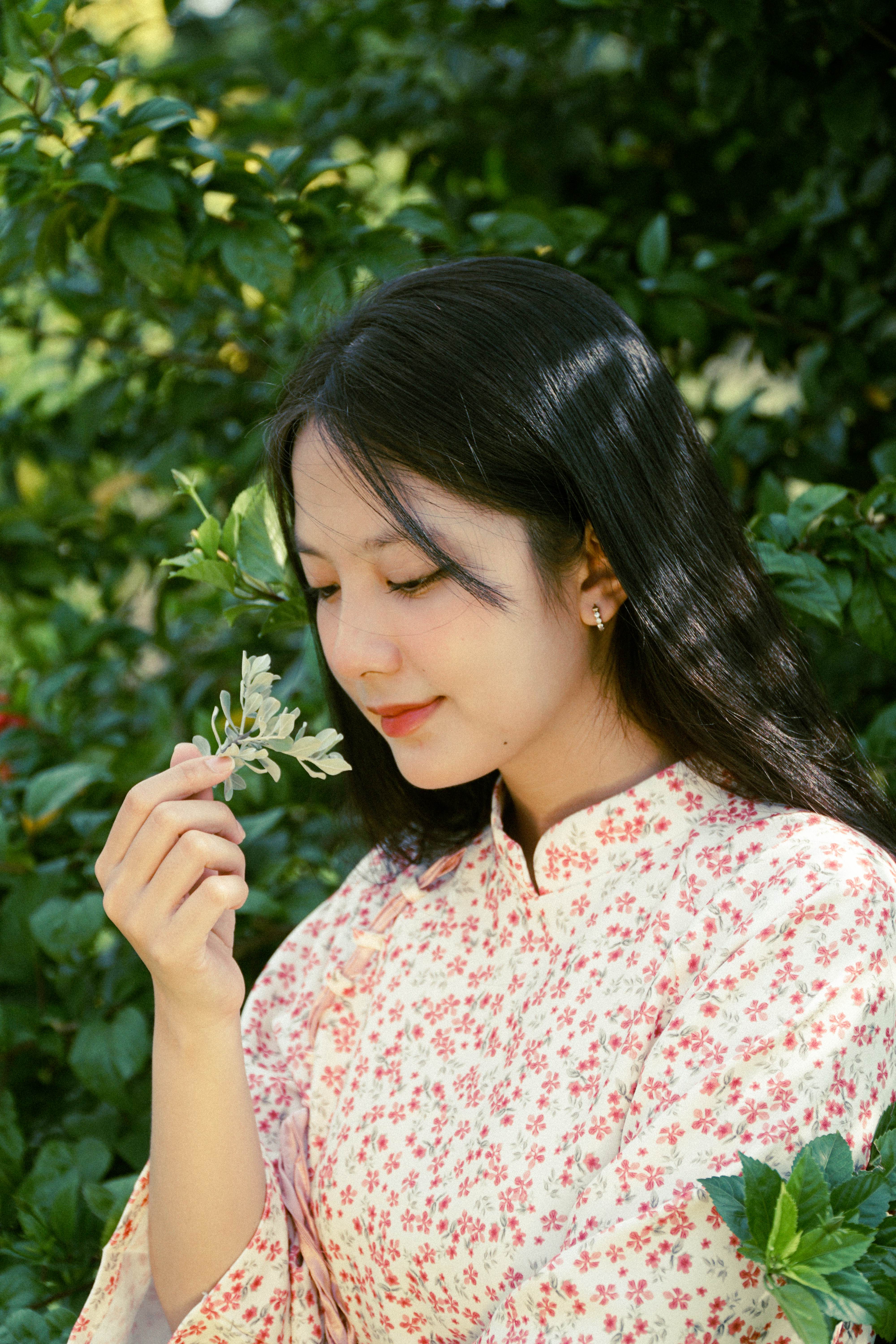 Portrait of Woman with Black Hair · Free Stock Photo