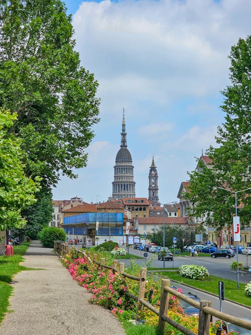 Foto d'estoc gratuïta de arbres, basílica de sant gaudenzio, ciutat