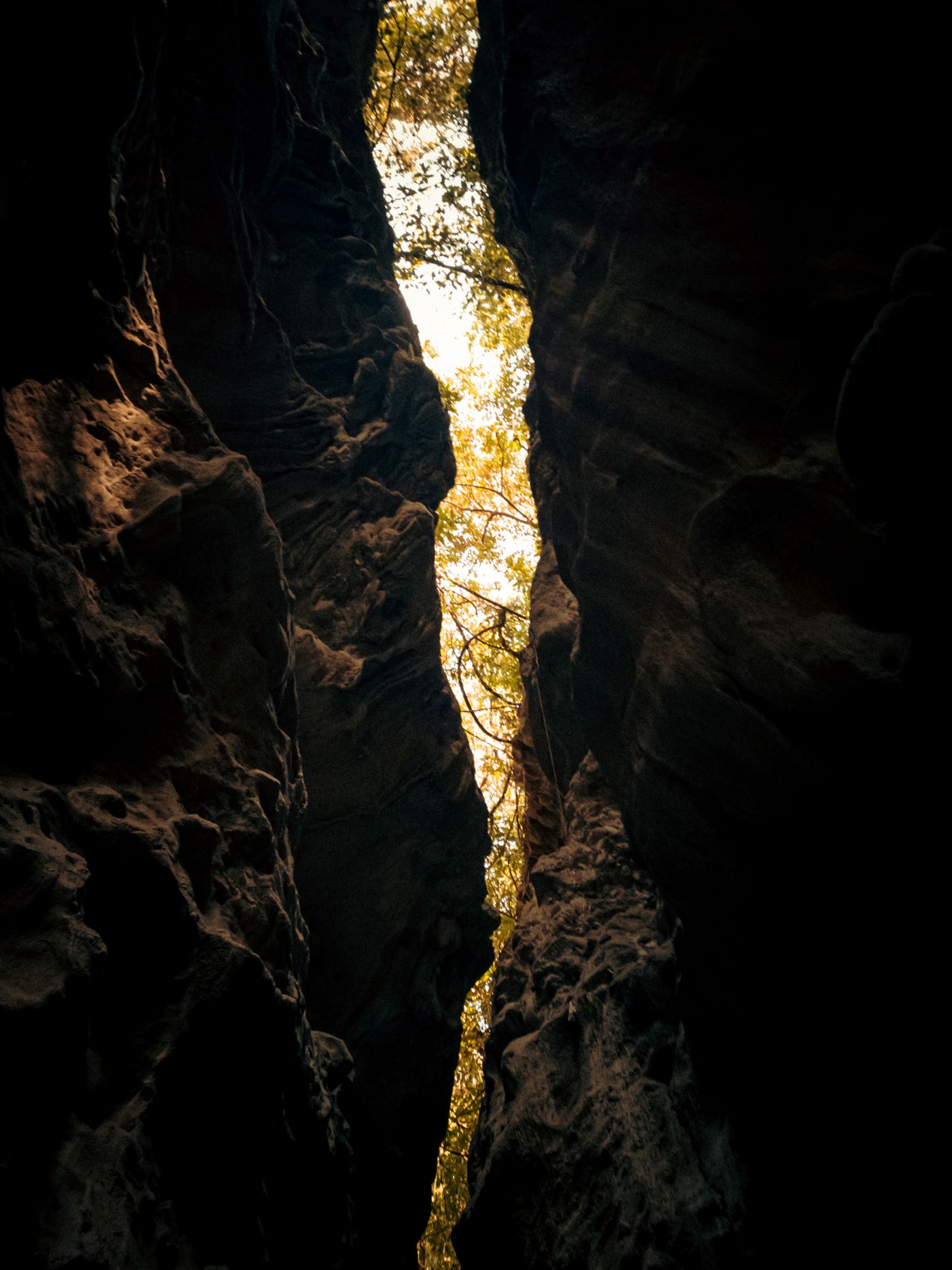 Robber's Cave (Guchhupani) — Uttarakhand travel photograph 2