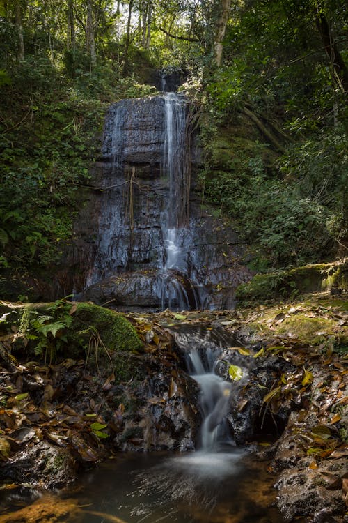 Immagine gratuita di acqua corrente, alberi, cascata