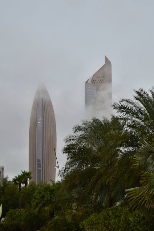 A tall building with palm trees in the background