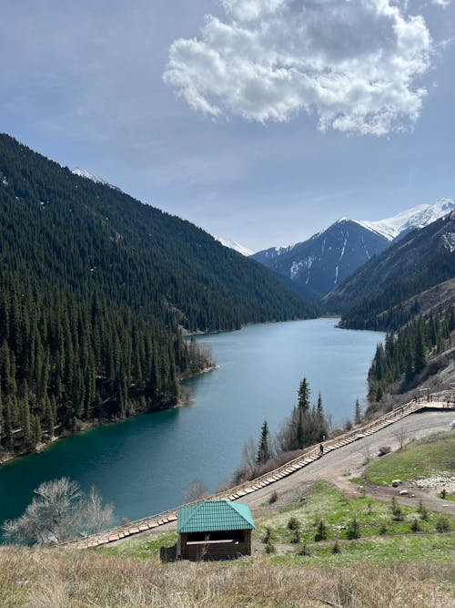 Foto stok gratis bangunan, danau, hutan