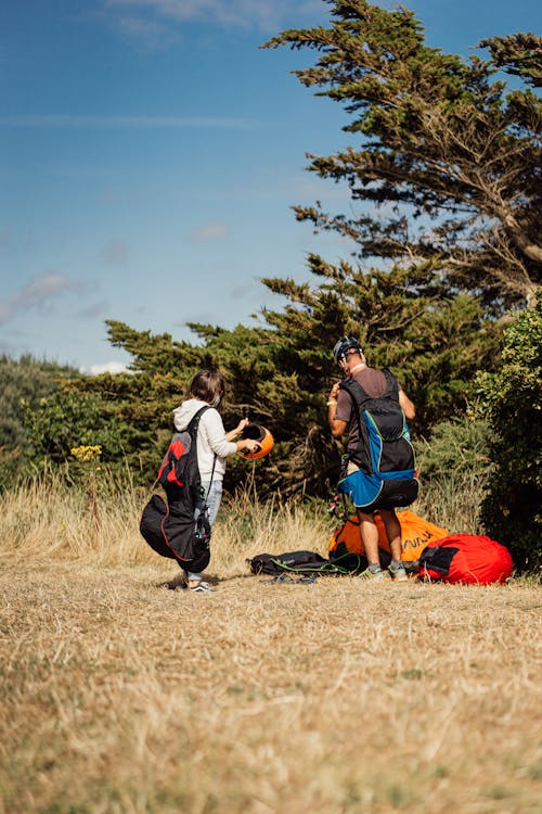 Kostenloses Stock Foto zu abenteuer, baum, bretagne