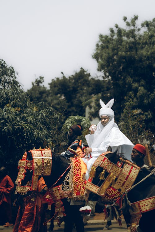 northern nigeria tradition durbar