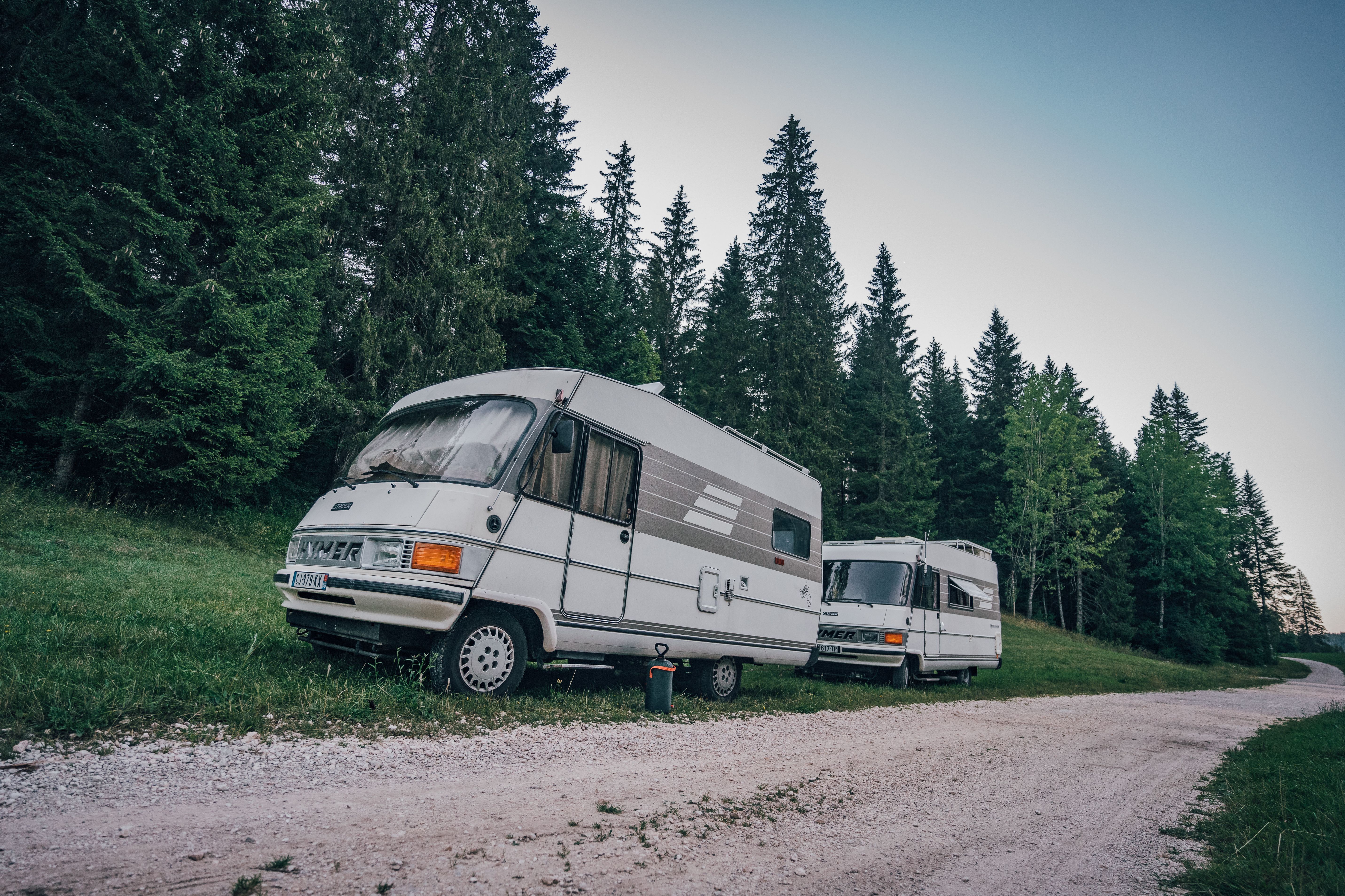 Two RVs parked on a dirt road by a lush green evergreen forest, perfect for rural travel enthusiasts.