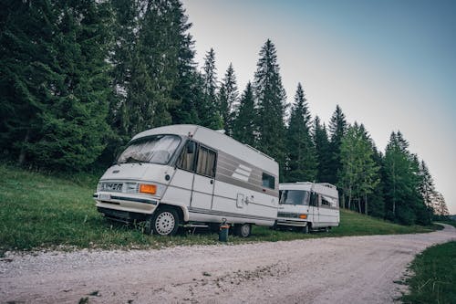 Immagine gratuita di albero, auto, autobus