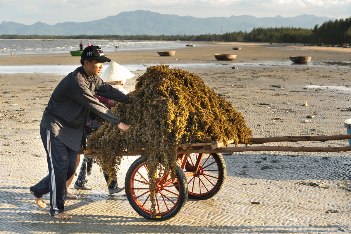 Volunteers inspecting and conserving historic agricultural equipment
