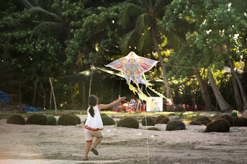 무료 연을 날리는 소녀 스톡 사진