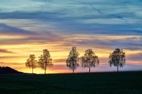 Безкоштовне стокове фото на тему «дерева, Долина, з підсвіткою»