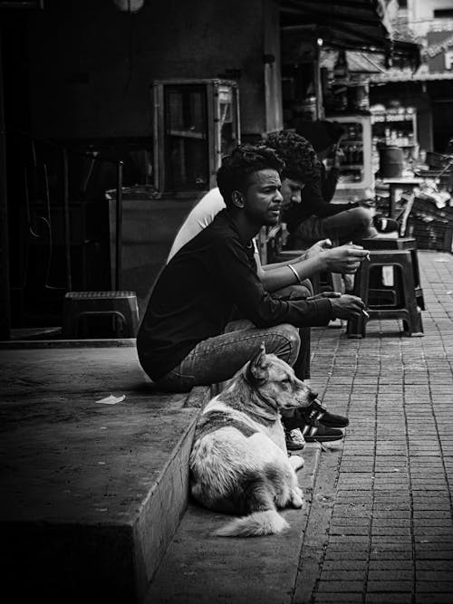 bnw, 개, 거리 예술의 무료 스톡 사진