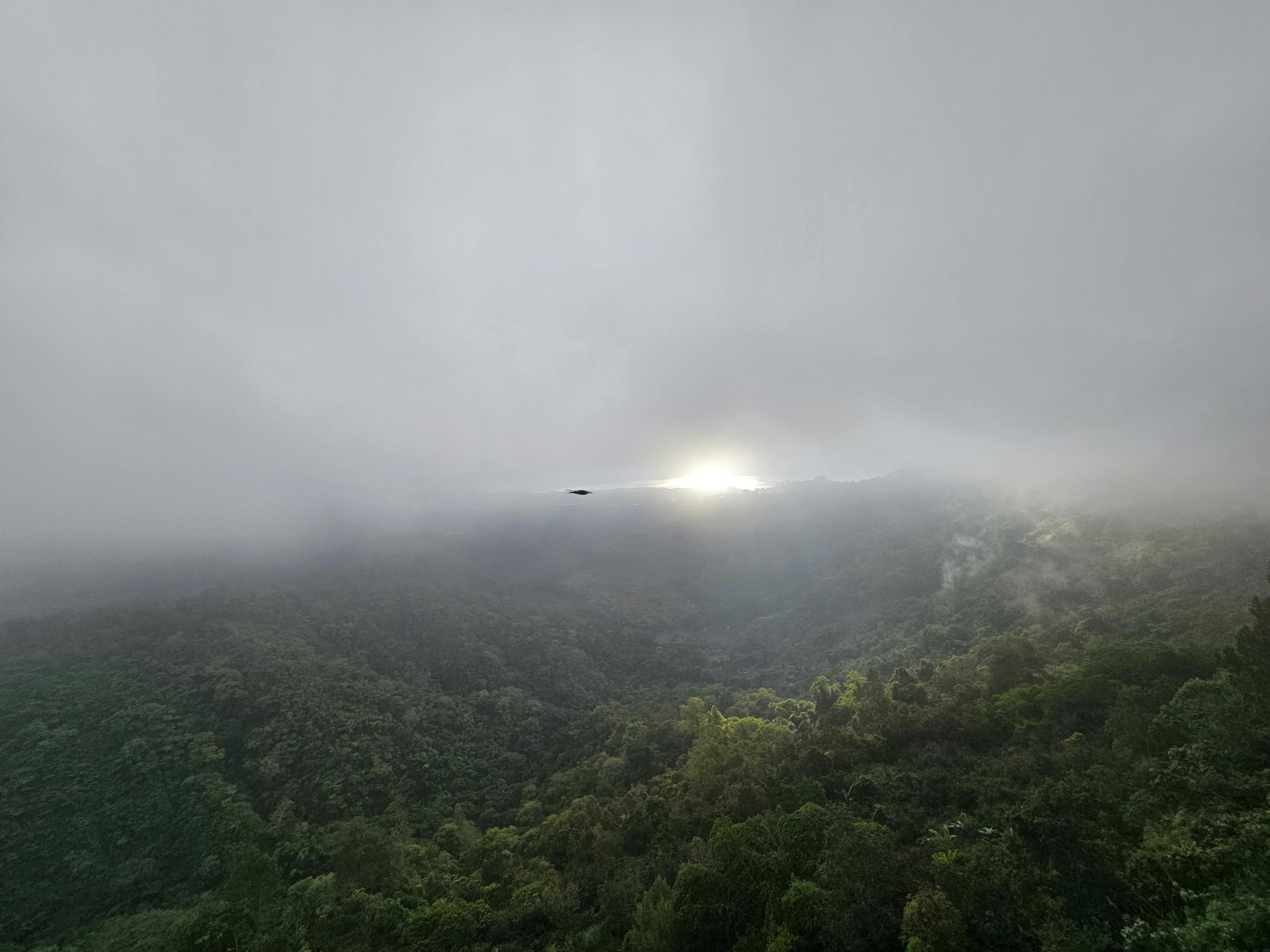 Ahmed Abd Allah Photography