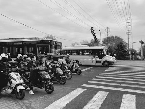 Základová fotografie zdarma na téma autobusy, černobílý, koloběžky