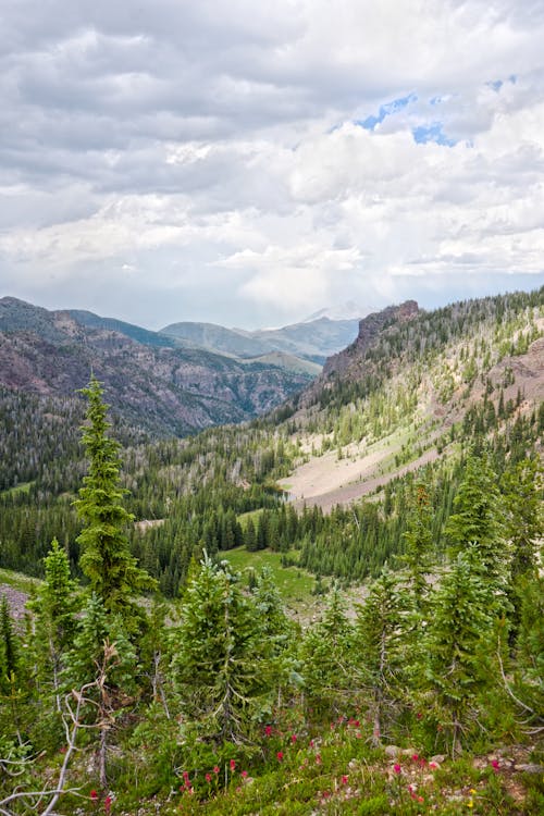 A view of a mountain valley with trees and mountains