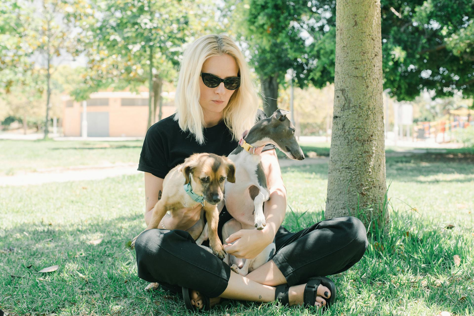 Woman Sitting on Grass with Two Dogs