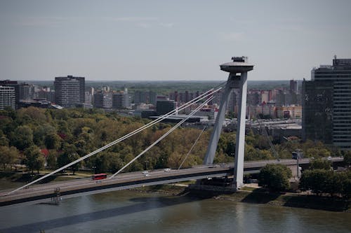 交通系統, 吊橋, 城市 的 免费素材图片