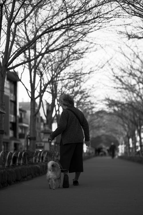 Photos gratuites de adulte, animal de compagnie, arbre