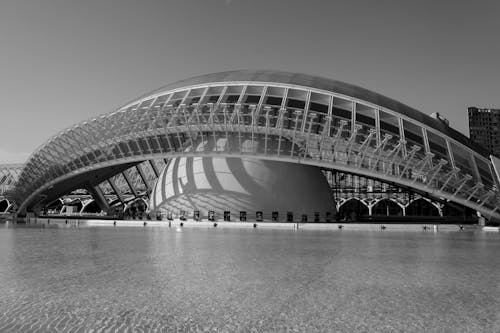 คลังภาพถ่ายฟรี ของ santiago calatrava, การท่องเที่ยว, ขาวดำ