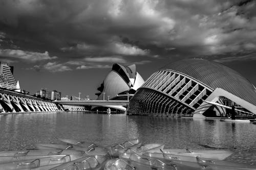 Foto d'estoc gratuïta de arquitectura moderna, blanc i negre, ciutat de les arts i les ciències