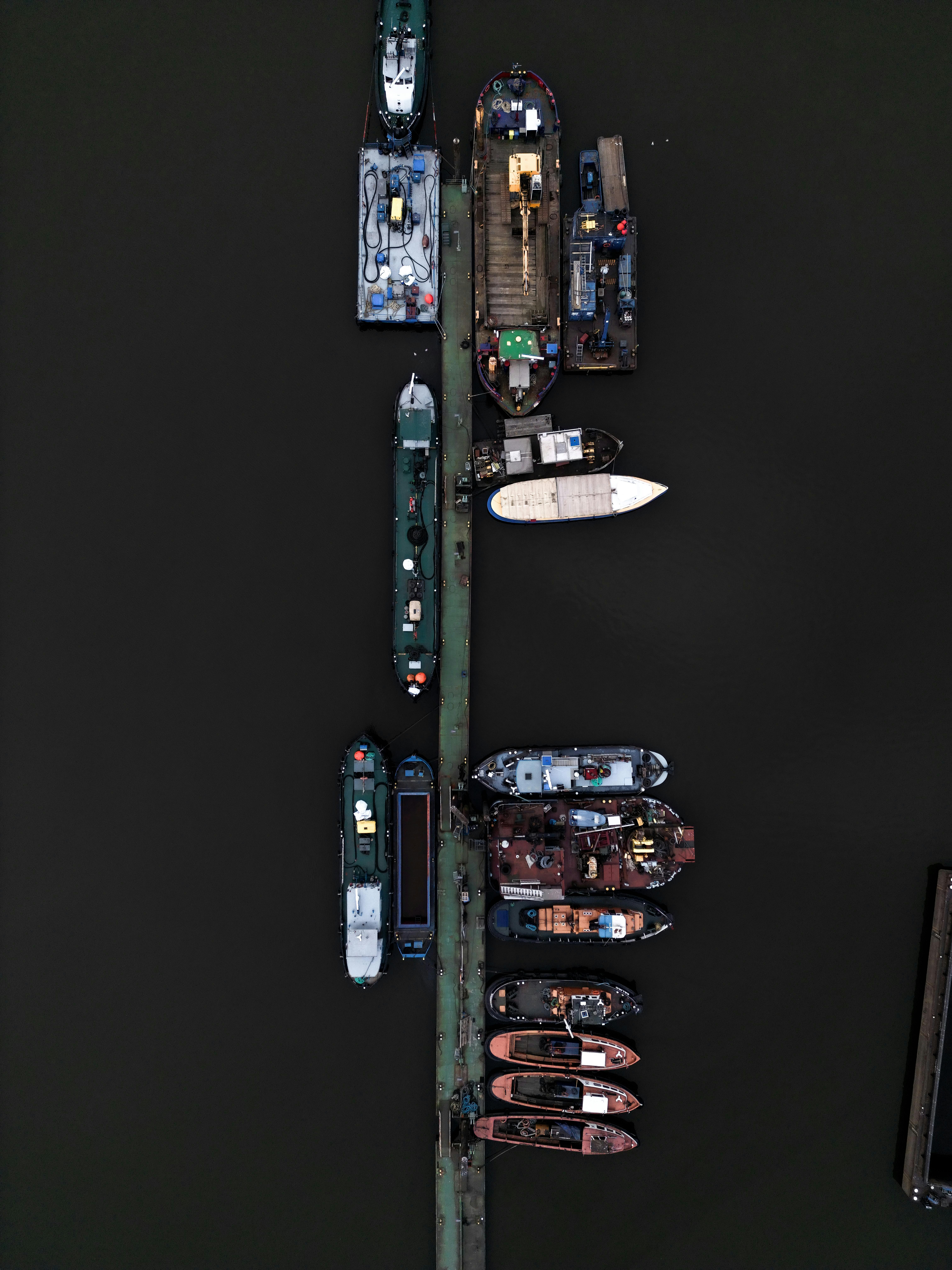 grátis Padrão Foto profissional