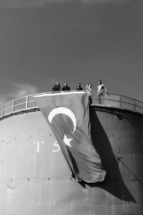 Základová fotografie zdarma na téma černobílý, krocan, loď
