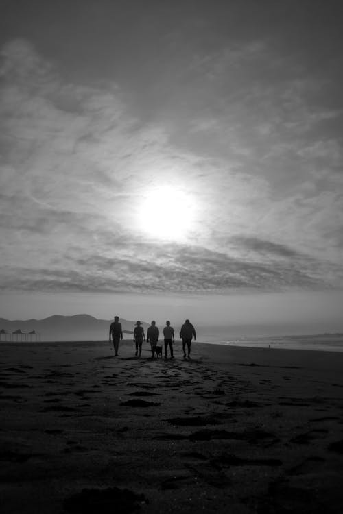 Základová fotografie zdarma na téma černobílý, chůze, horizont