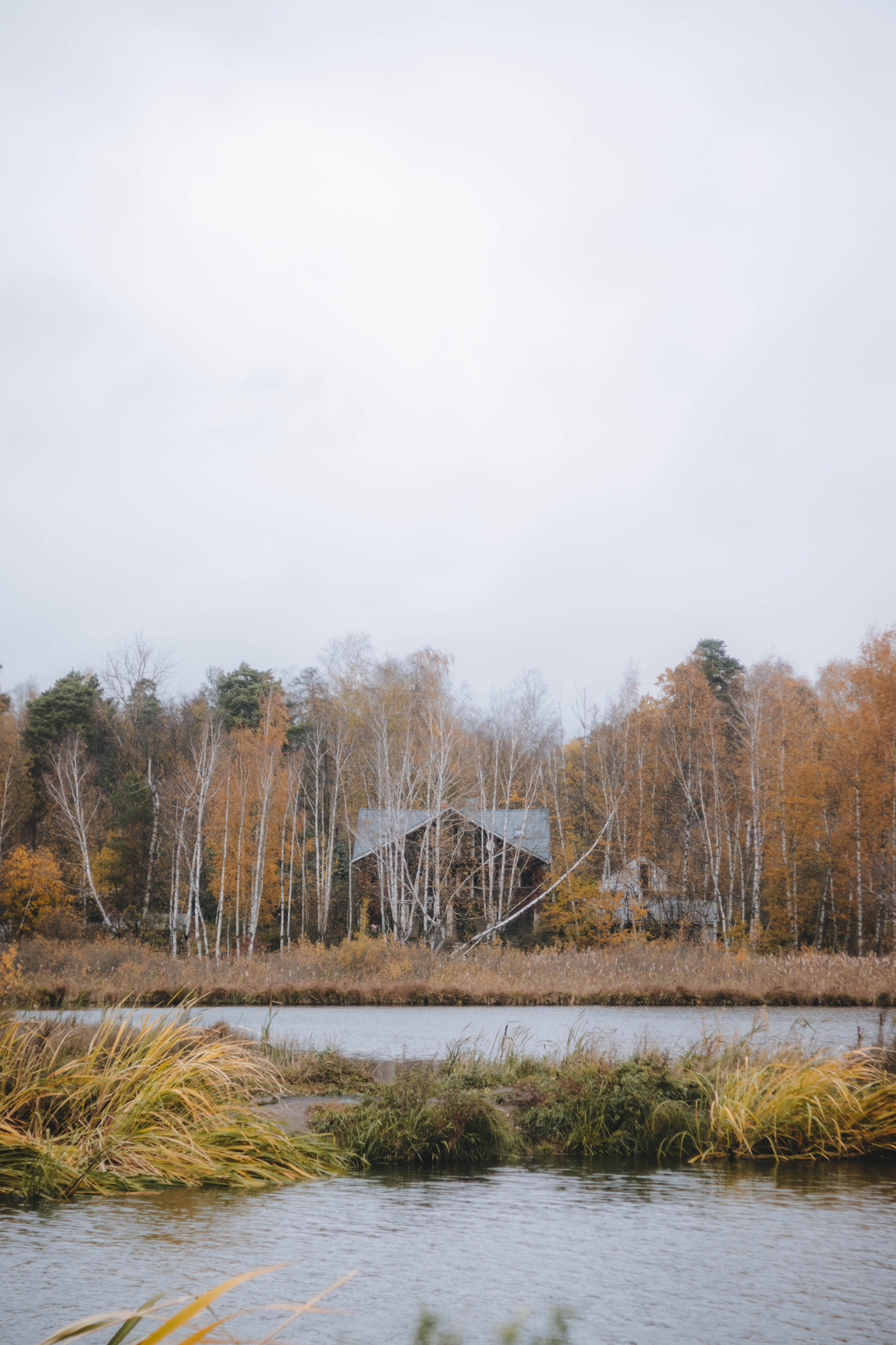 View of a Body of Water and a House between Autumnal Trees · Free Stock ...