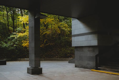 ağaçlar, beton, bina içeren Ücretsiz stok fotoğraf