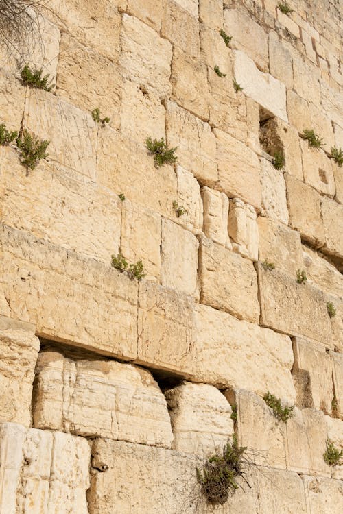 以色列, 古老的, 哭墙 的 免费素材图片