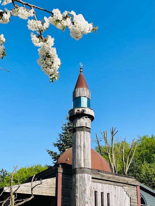 A wooden building with a small tower and flowering trees