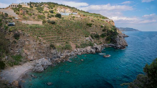 A cliff overlooking the ocean and a beach