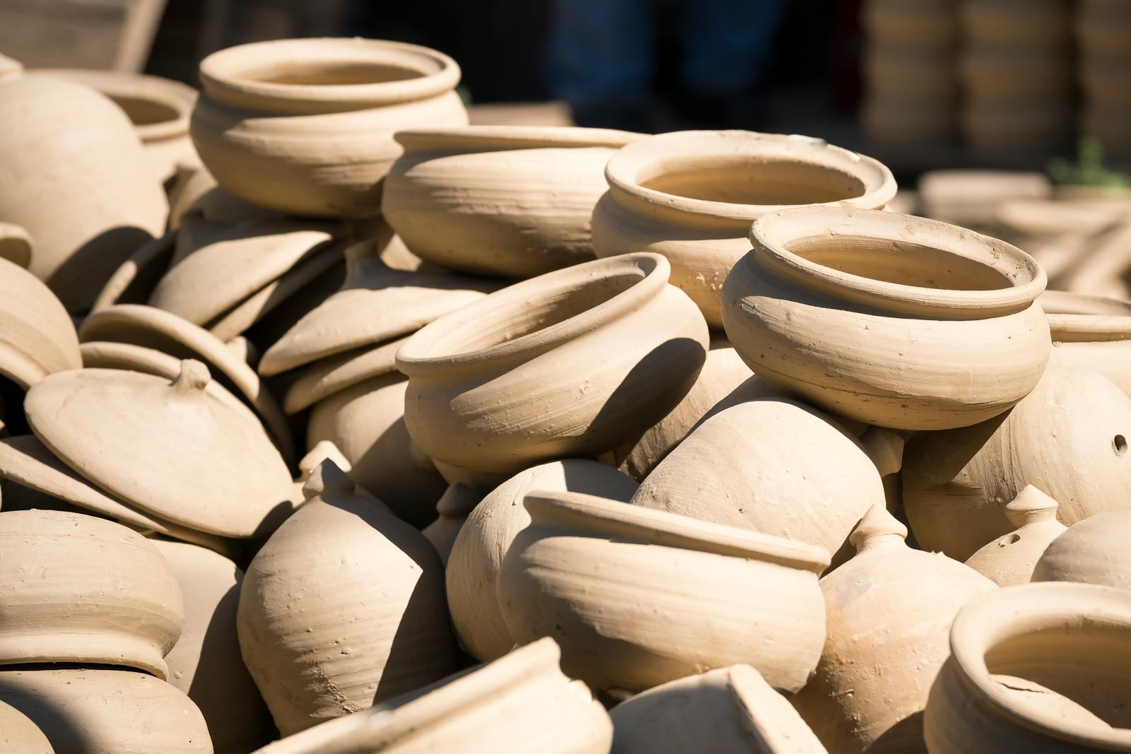 Plantation de café Arabica Kalehe