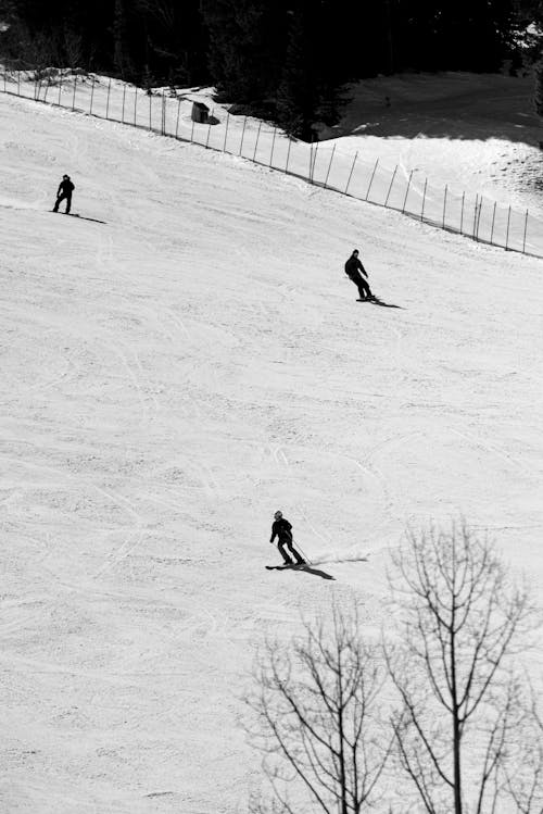 A group of people skiing down a snowy slope