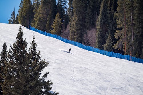 Immagine gratuita di attività, inverno, neve