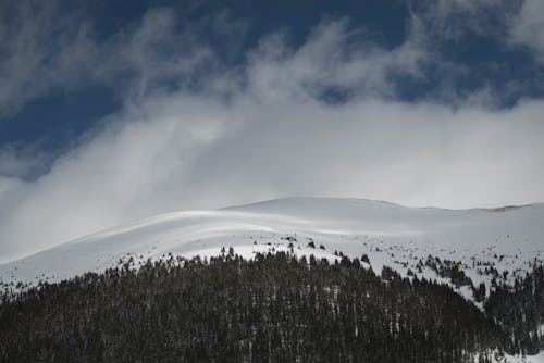 Gratis stockfoto met berg, Bos, bossen