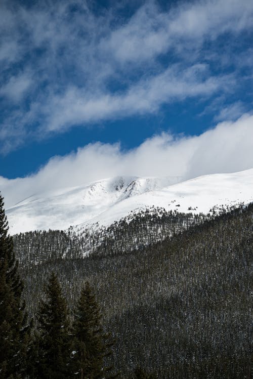 Foto profissional grátis de cadeia de montanhas, cênico, inverno