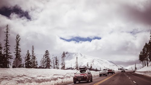 Immagine gratuita di auto, guidando, inverno