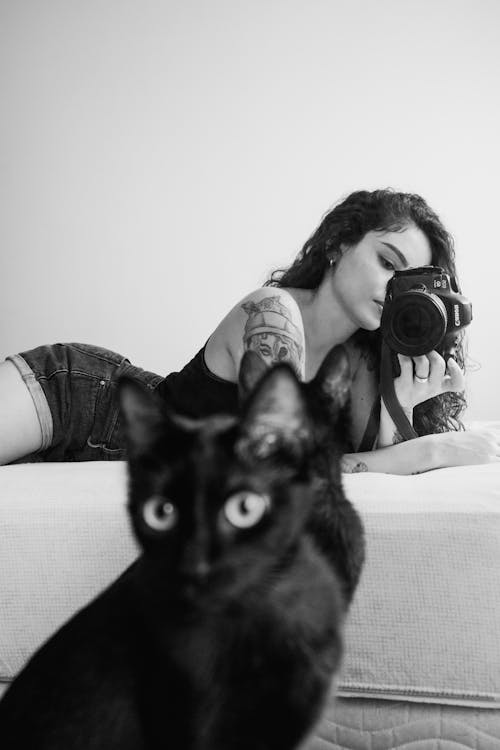 Free and my black cat Stock Photo