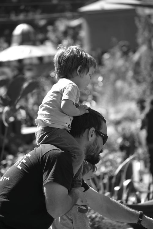 Free Father and son enjoying sunny day together, child on shoulders. Stock Photo