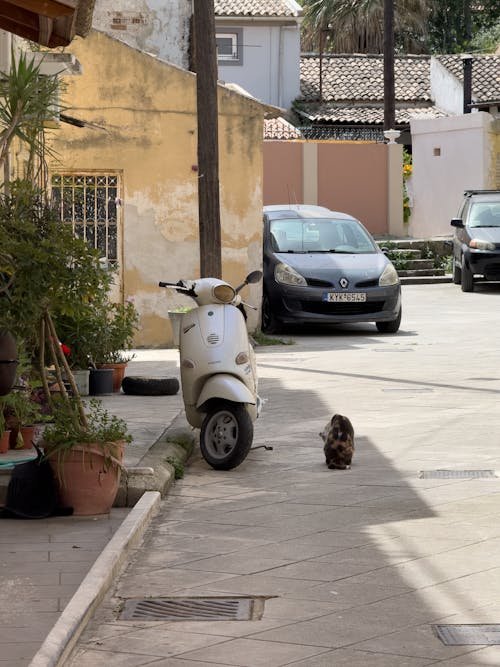 Stroll by the Idle Vespa
