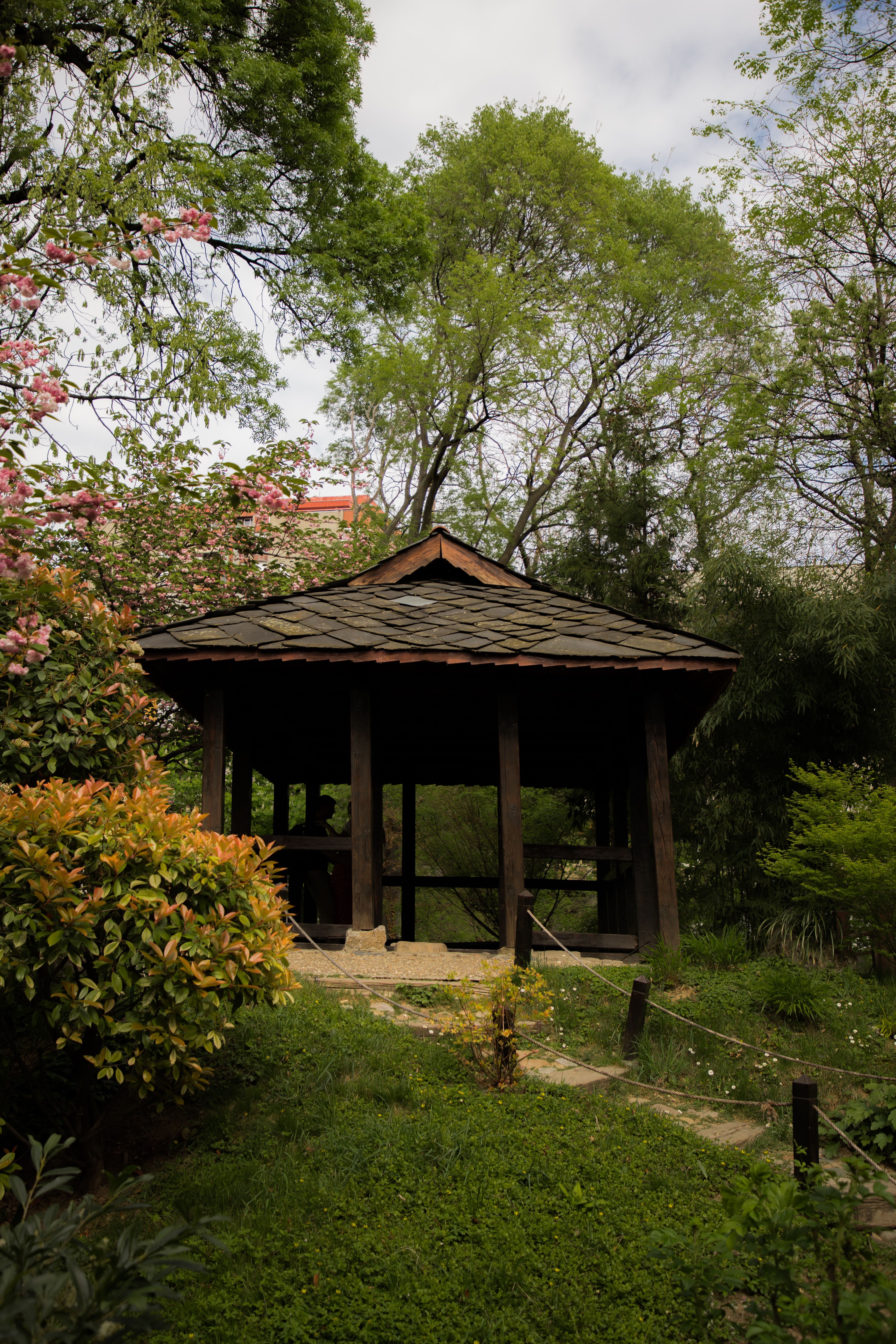Wooden Gazebo in the Park · Free Stock Photo