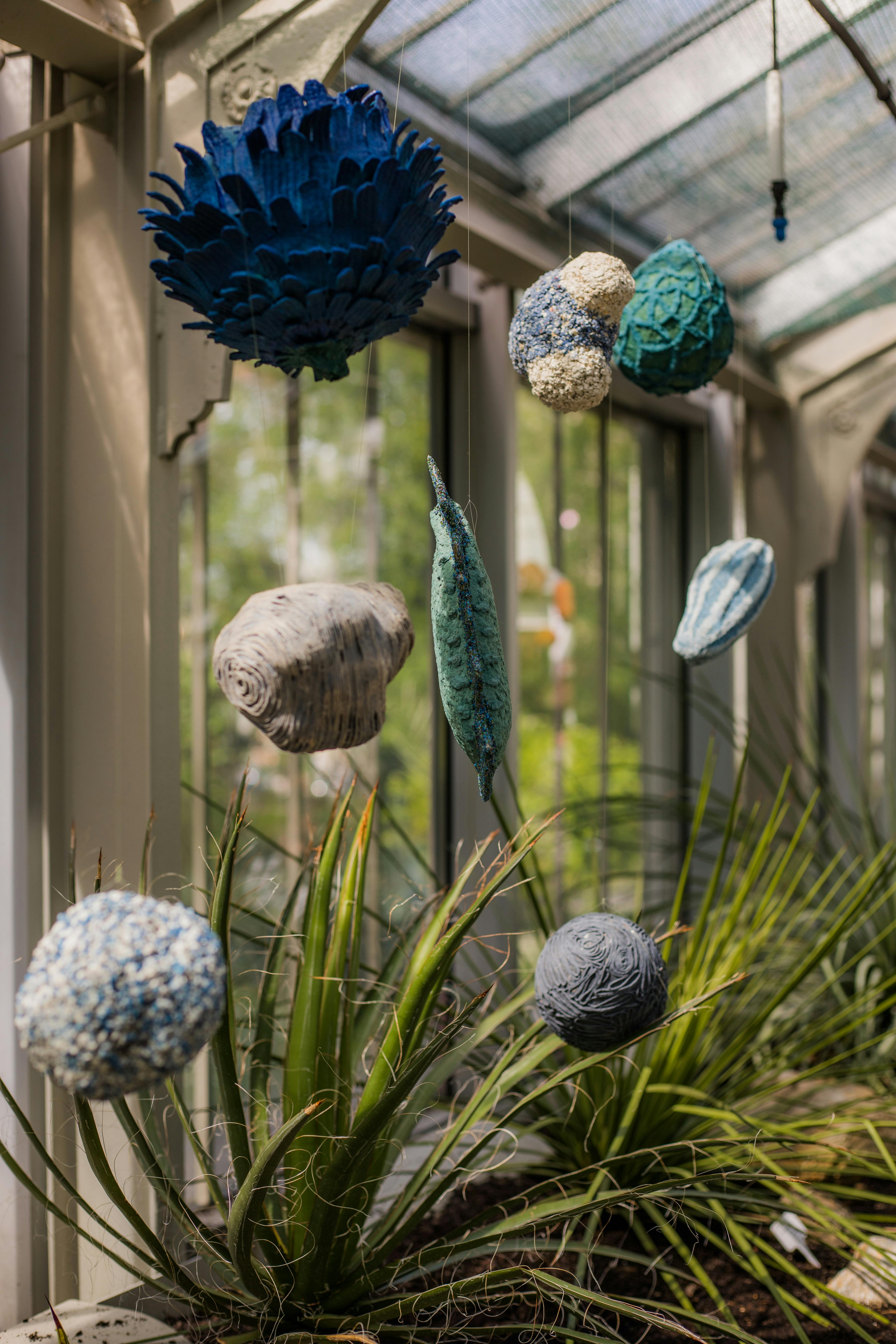 a plant in a greenhouse