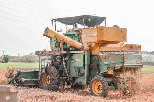 Ingyenes stockfotó aratás, dolgozó, farmer témában