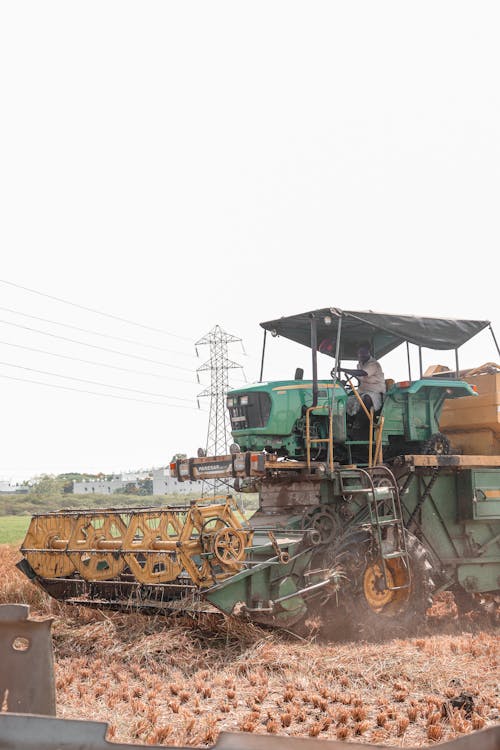 Ingyenes stockfotó aratás, dolgozó, farmer témában