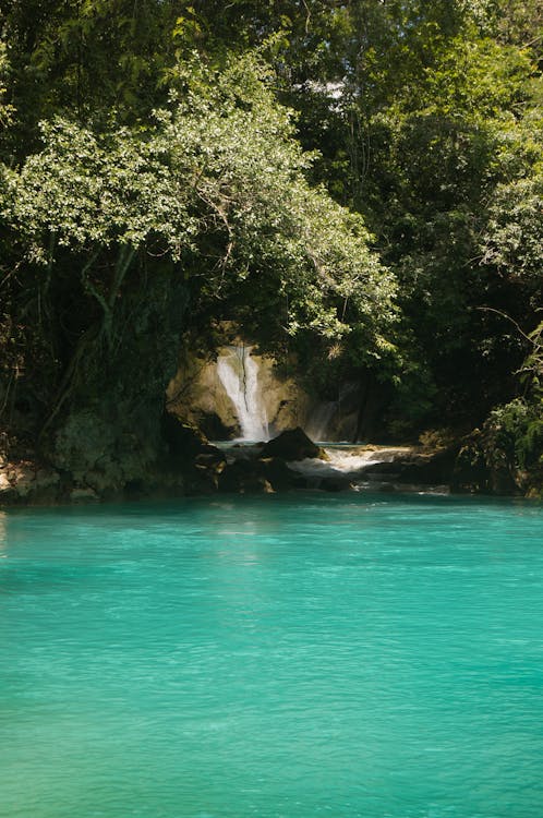 Δωρεάν στοκ φωτογραφιών με nnature, san luis potosi, ακτή